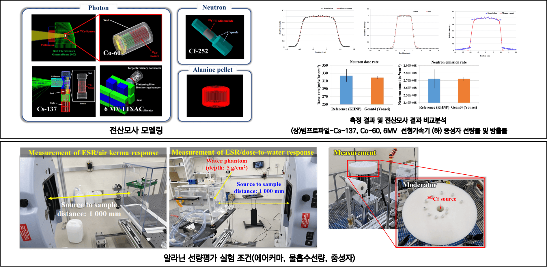 Alanine ESR Dosimetry System